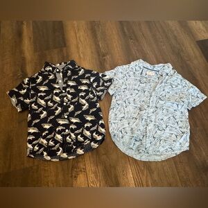 Boys shark themed collared shirts size 4/5